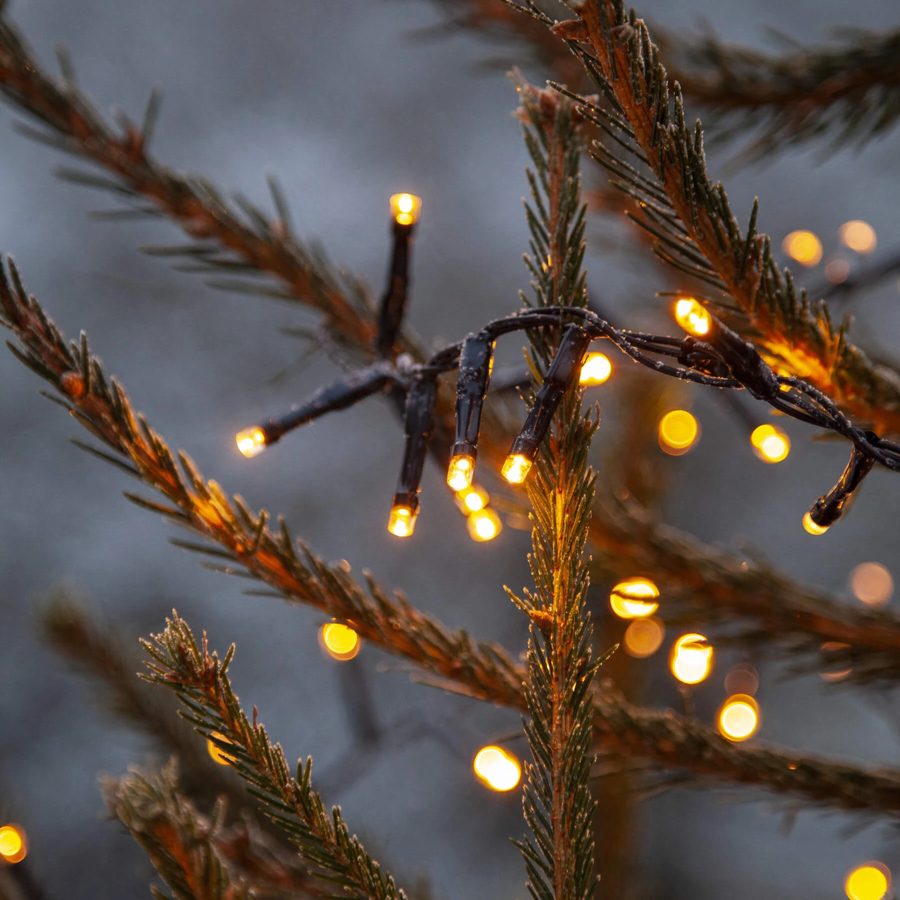 Golden Warm White - Lichterkette für außen - 3,5 m - 180 LEDs - Netzbetrieb - Warmweiß
