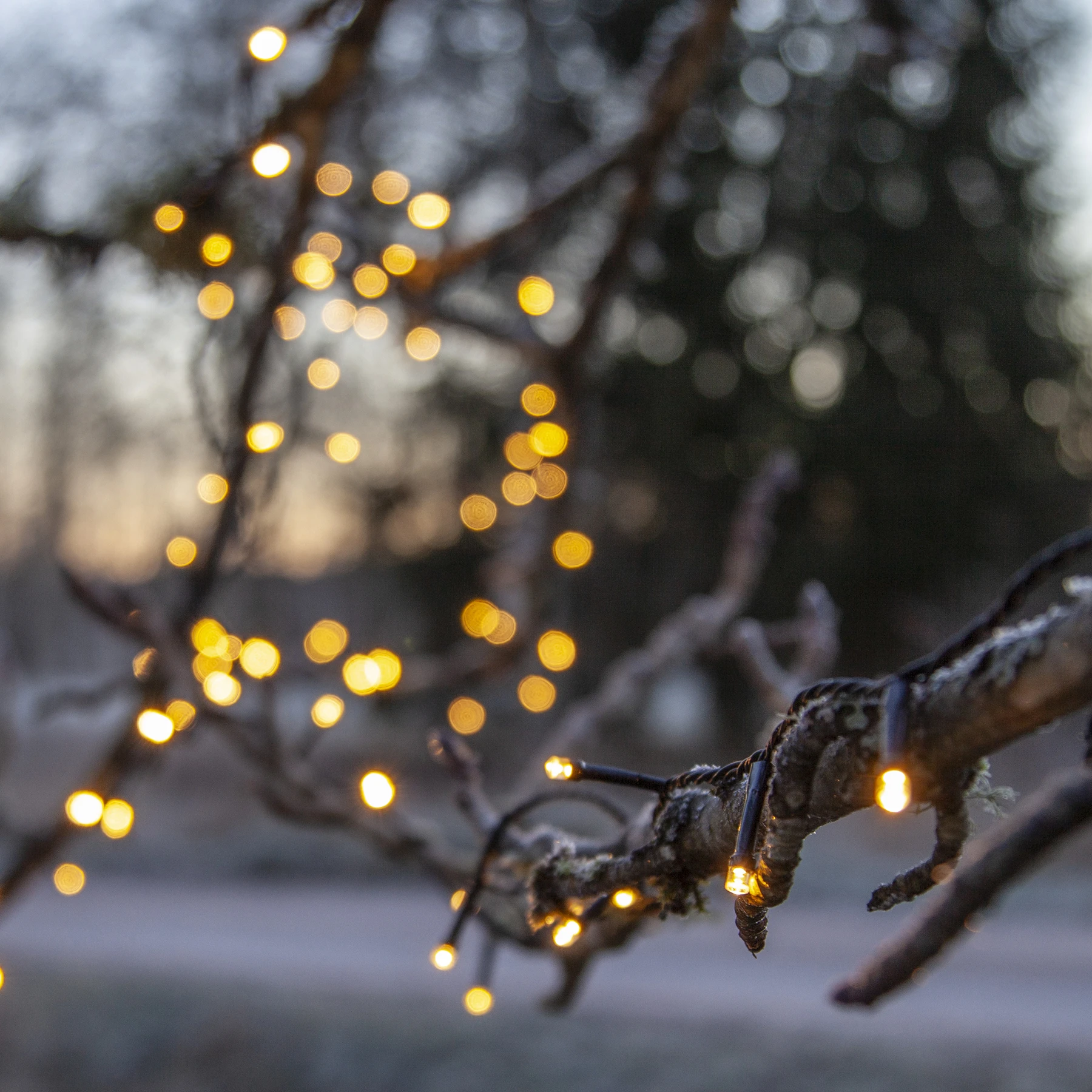 Flashy - Lichterkette für außen - 7 m - 100 LEDs - Timer - Netzbetrieb - 8 Funktionen - Warmweiß