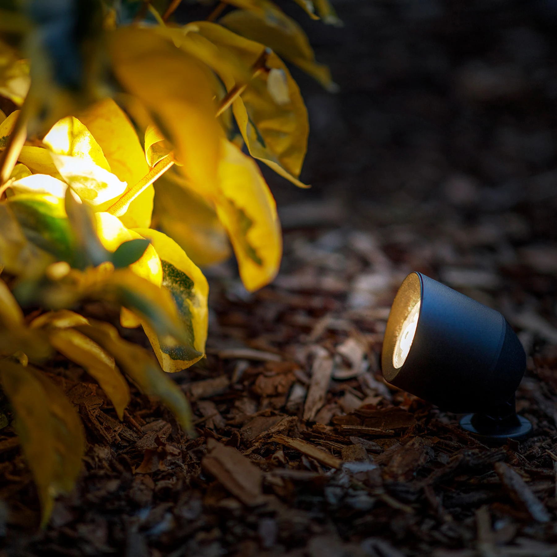12V Wegeleuchte - 1W - Lichtfarbe: warmweiß - IP44