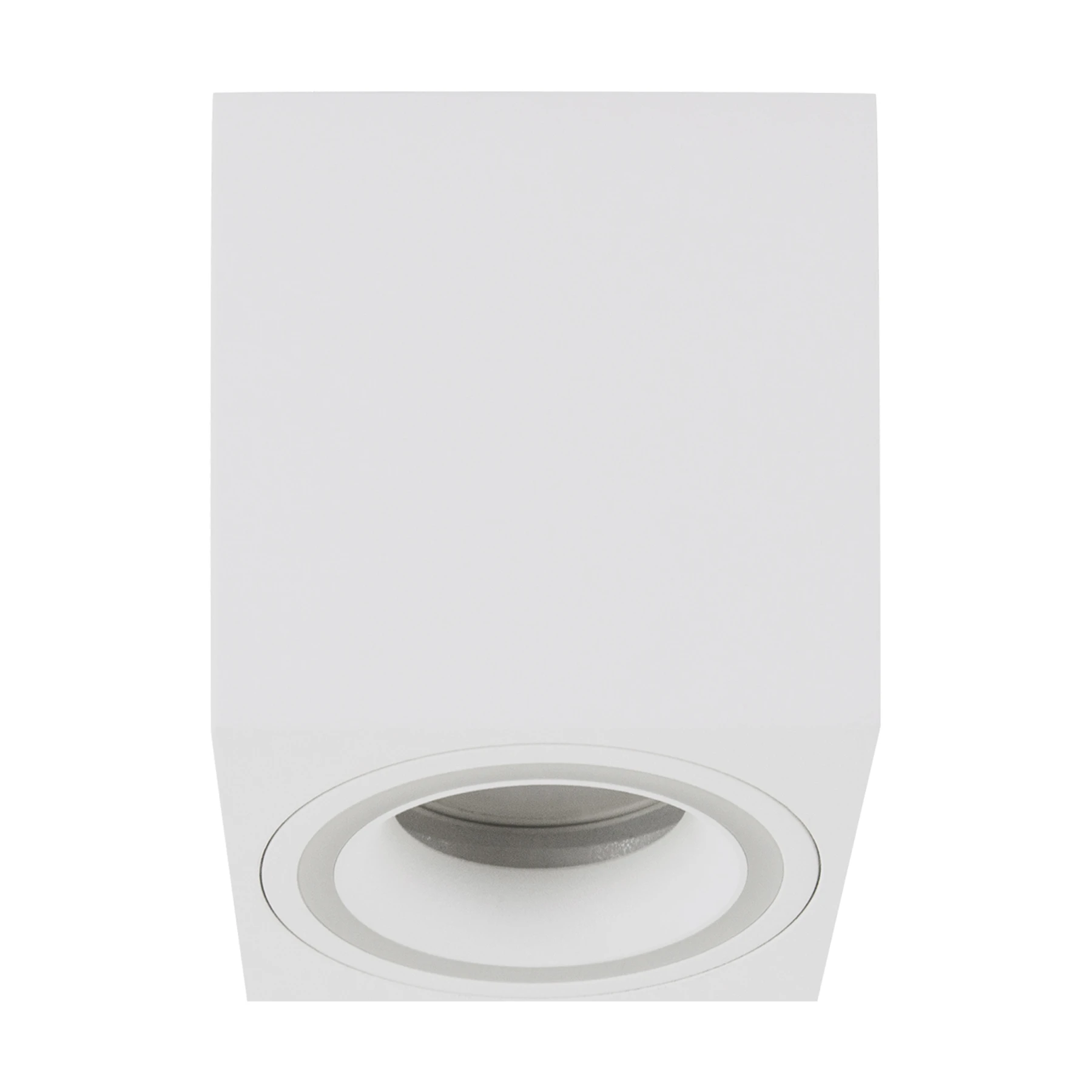 INDI D - Aufbau Deckenspot in weiß - Lichtfarbe: individuell wählbar