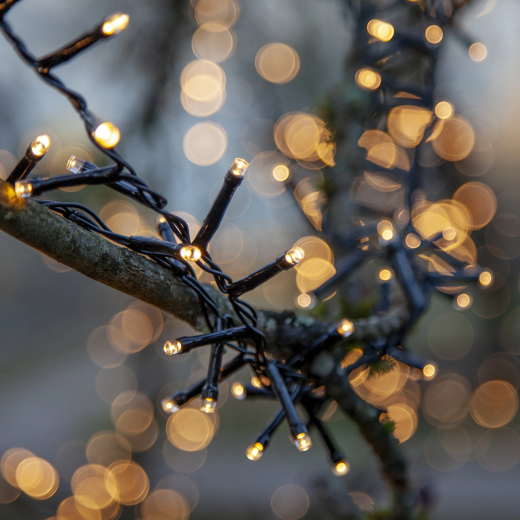 Flashy - Lichterkette für außen - 30 m - 1500 LEDs - Timer - Netzbetrieb - 8 Funktionen - Warmweiß