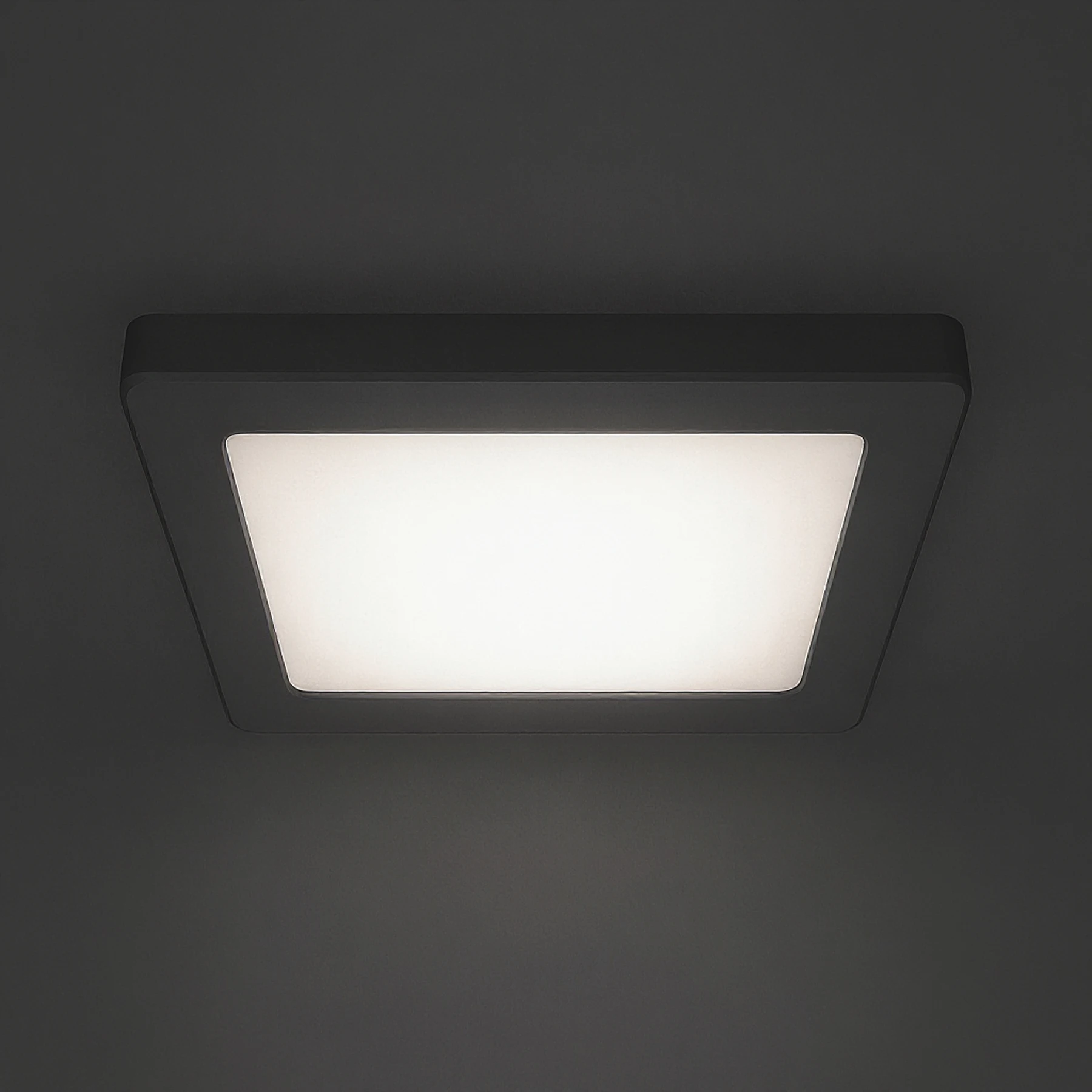 Decken Aufbauleuchte in schwarz - 16cm - 12 W - Lichtfarbe: weiß einstellbar