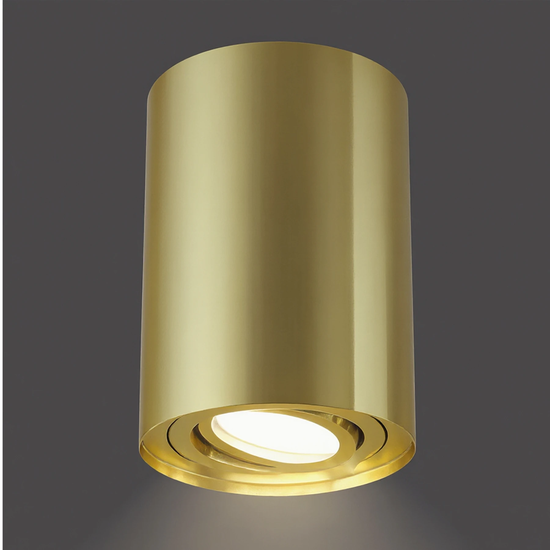 HARY C - Aufbau Deckenspot in gold - Lichtfarbe: individuell wählbar