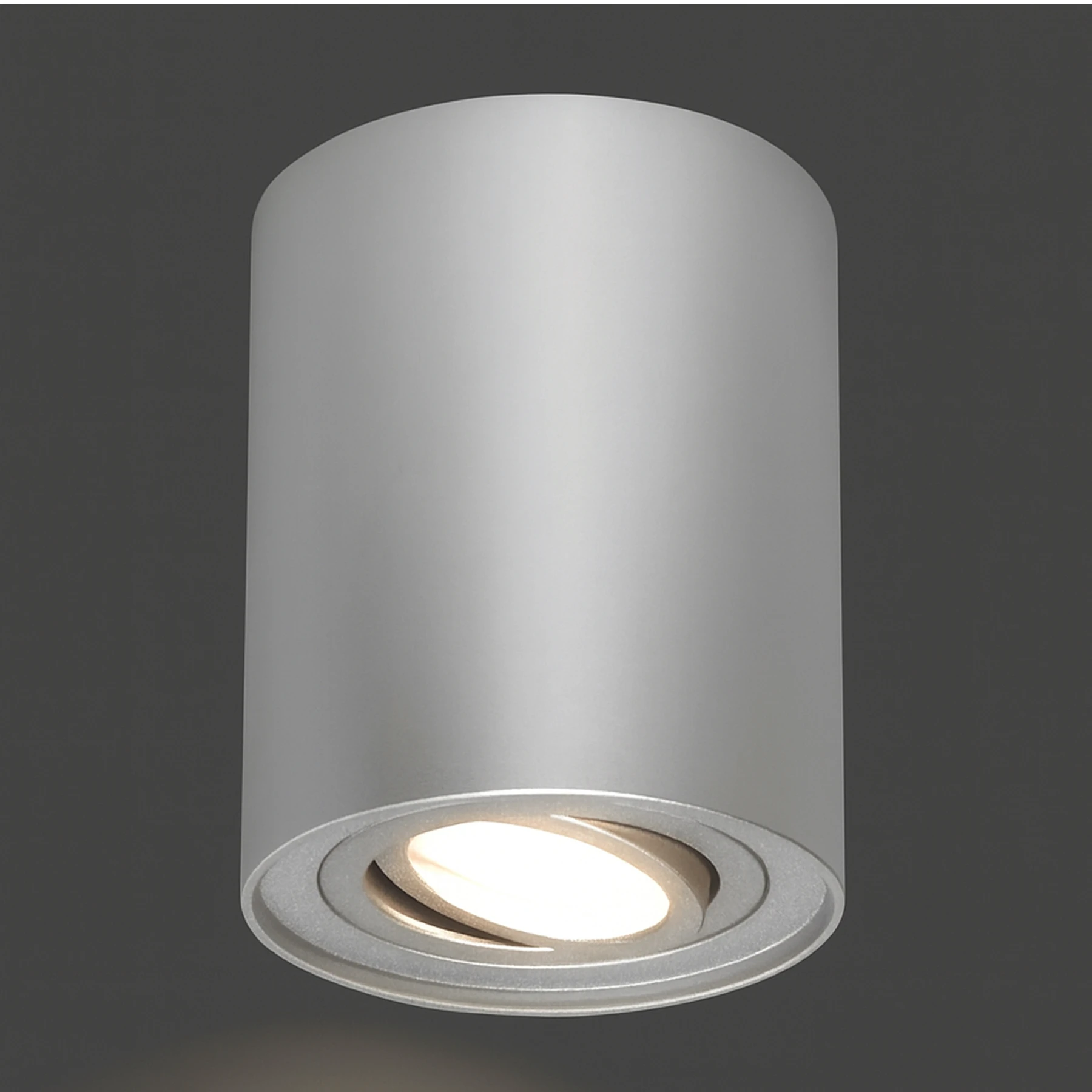 HARY C - Aufbau Deckenspot in silber - Lichtfarbe: individuell wählbar