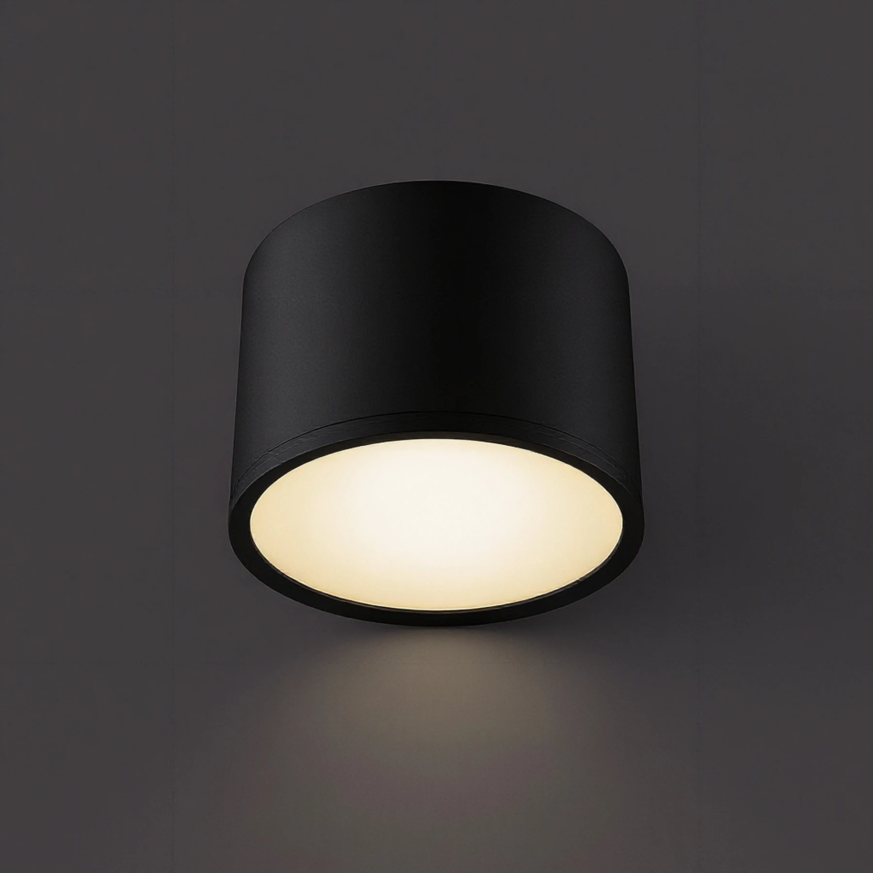 ROLEN LED - Aufbau Deckenspot in schwarz - Ø10cm - 7W - Lichtfarbe: neutralweiß