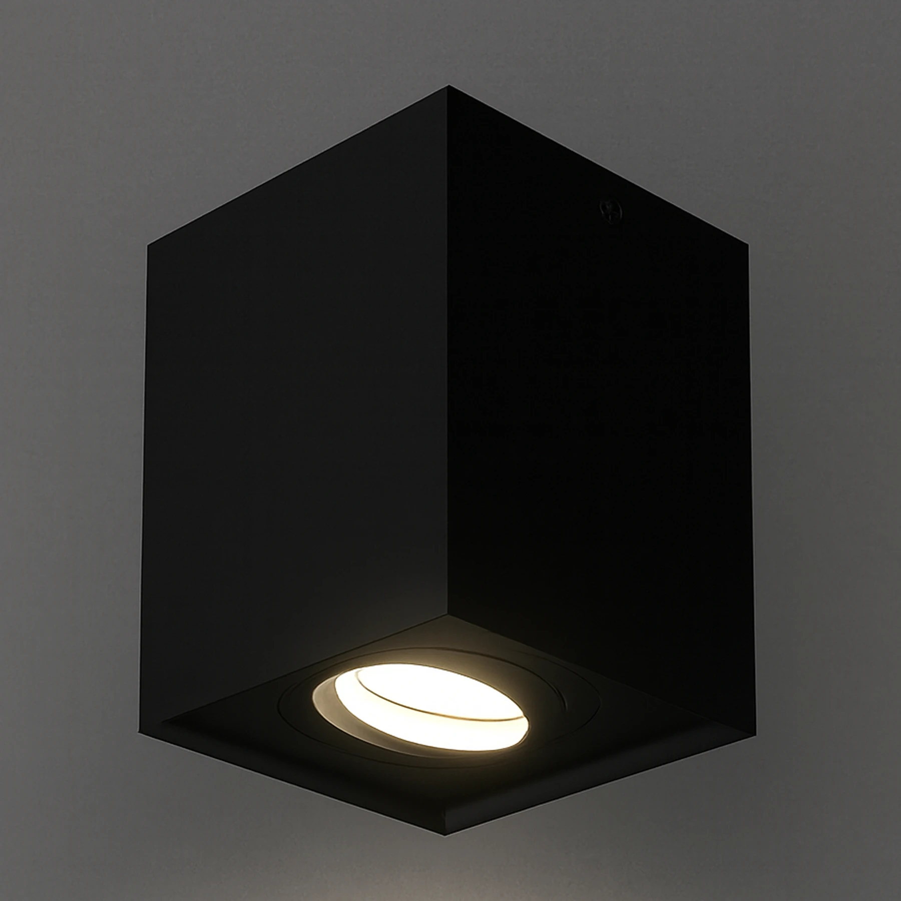 HARY D - Aufbau Deckenspot in schwarz - Lichtfarbe: individuell wählbar