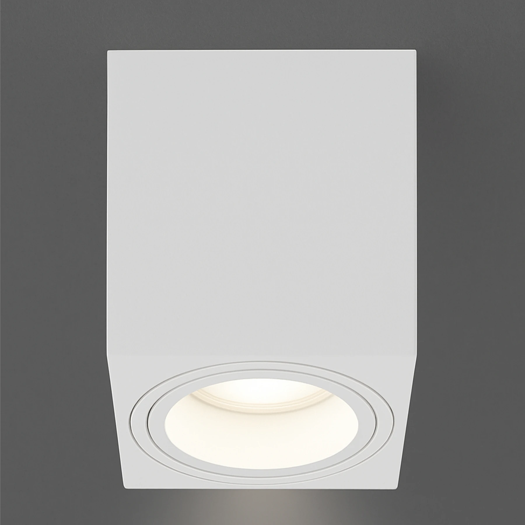 INDI D - Aufbau Deckenspot in weiß - Lichtfarbe: individuell wählbar