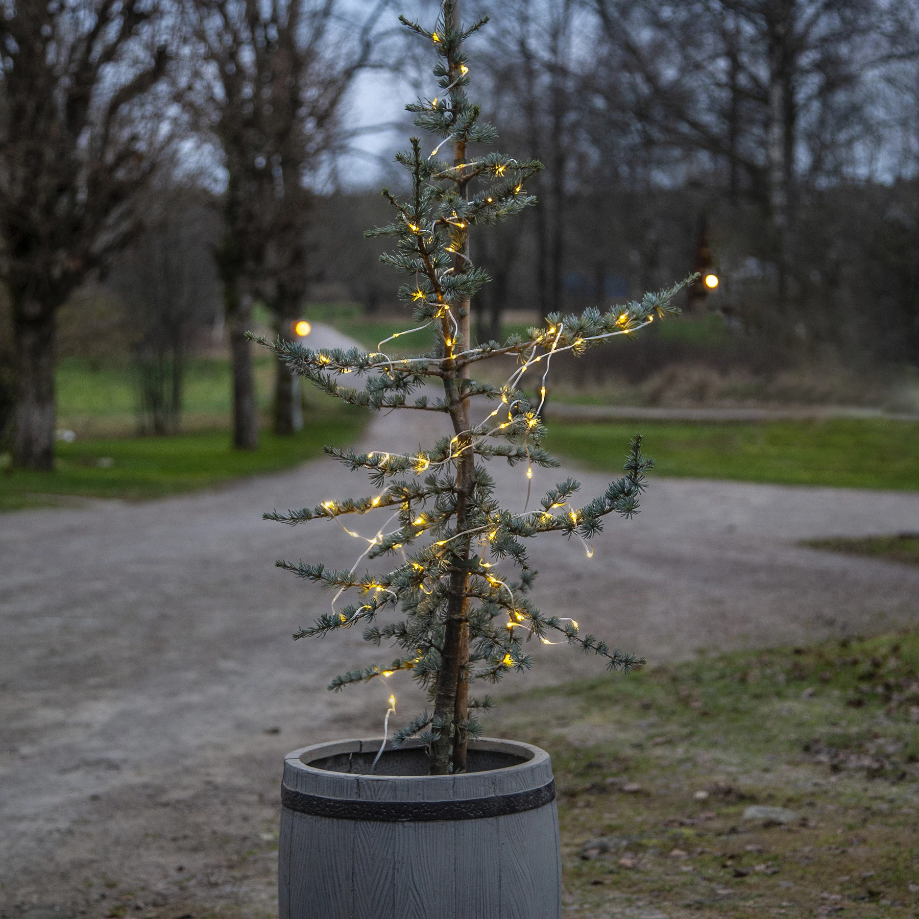 Dew Drop Micro - Lichterkette für außen - 15 m - 200 LEDs - Netzbetrieb - Warmweiß