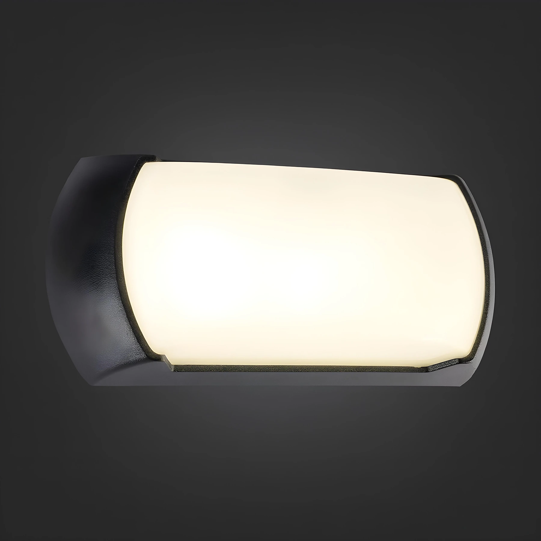 Wandleuchte outdoor in schwarz - 23cm - 12 W - Lichtfarbe: neutralweiß