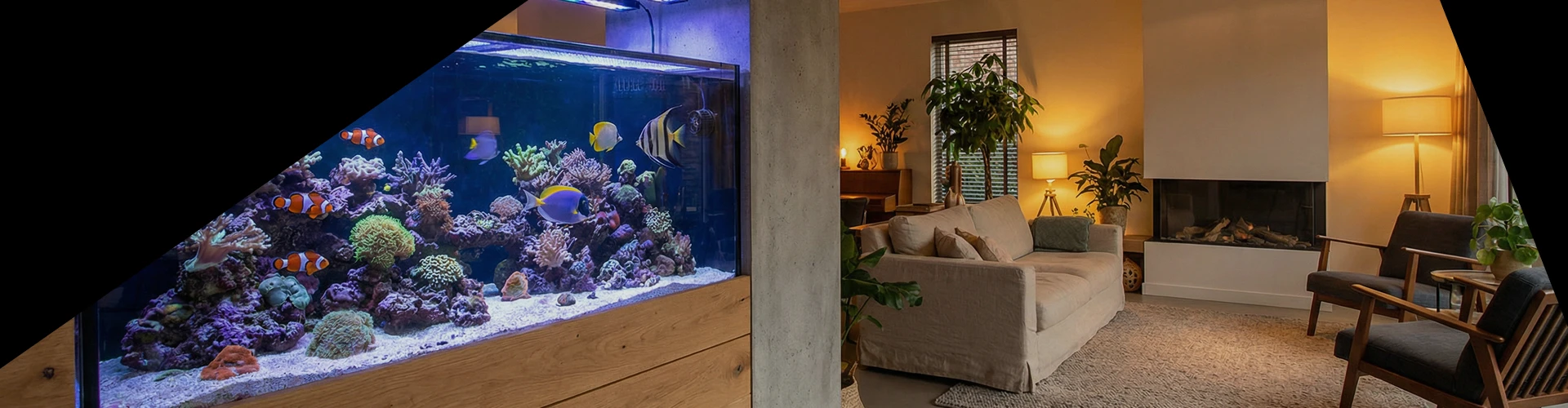 Header-Aquariumbeleuchtung-DESK
