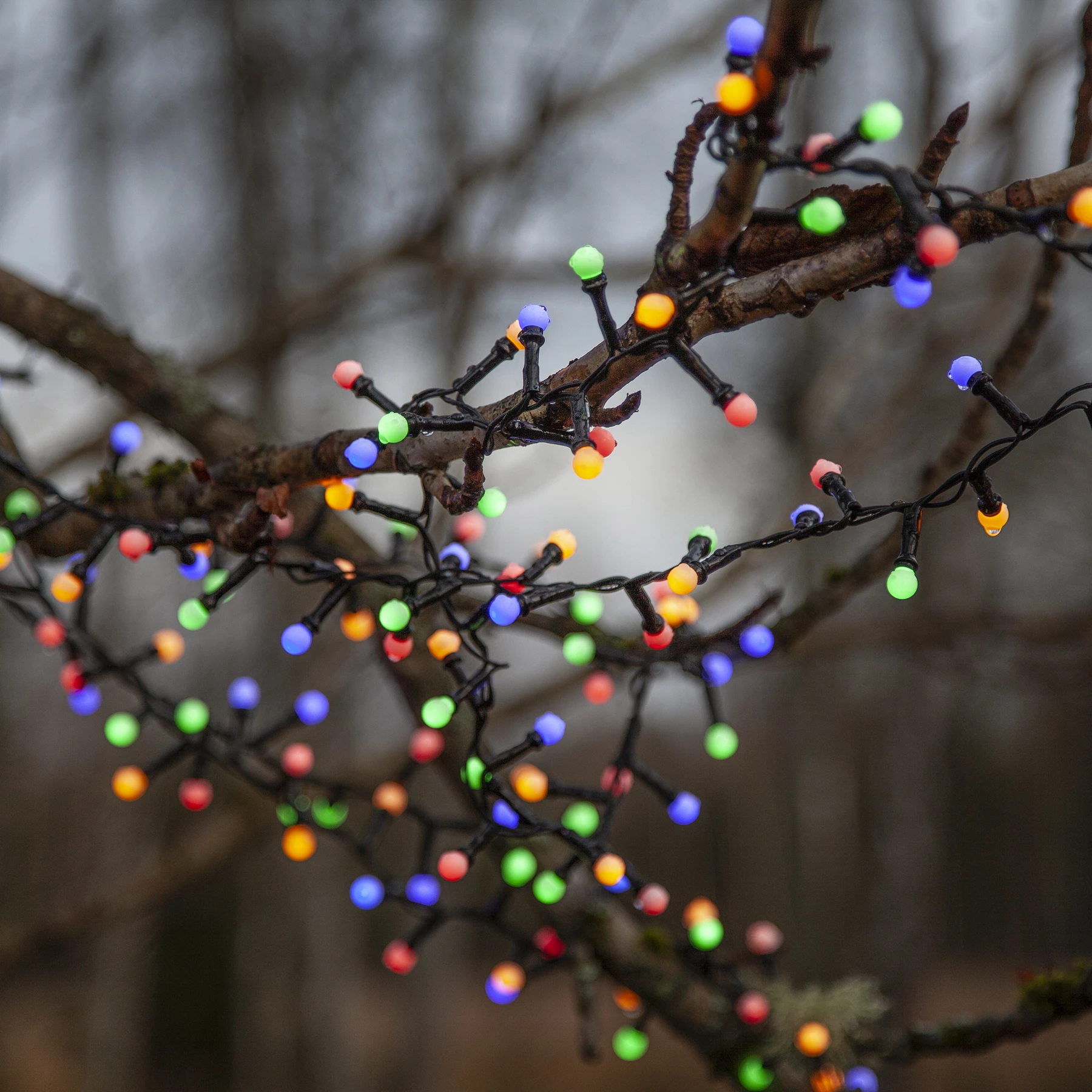 Berry Mini - Deko Lichterkette für außen - 14 m - 700 LEDs - Timer - Netzbetrieb - Mehrfarbig