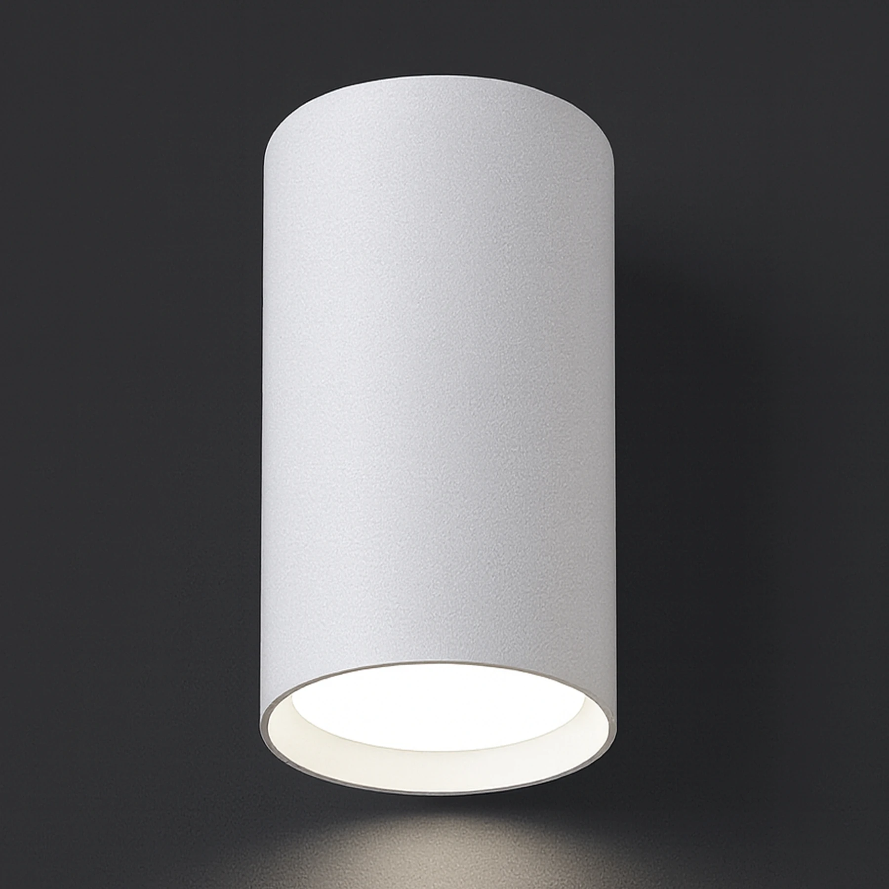 DARIA DWL - Aufbau Deckenspot in weiß - Lichtfarbe: individuell wählbar