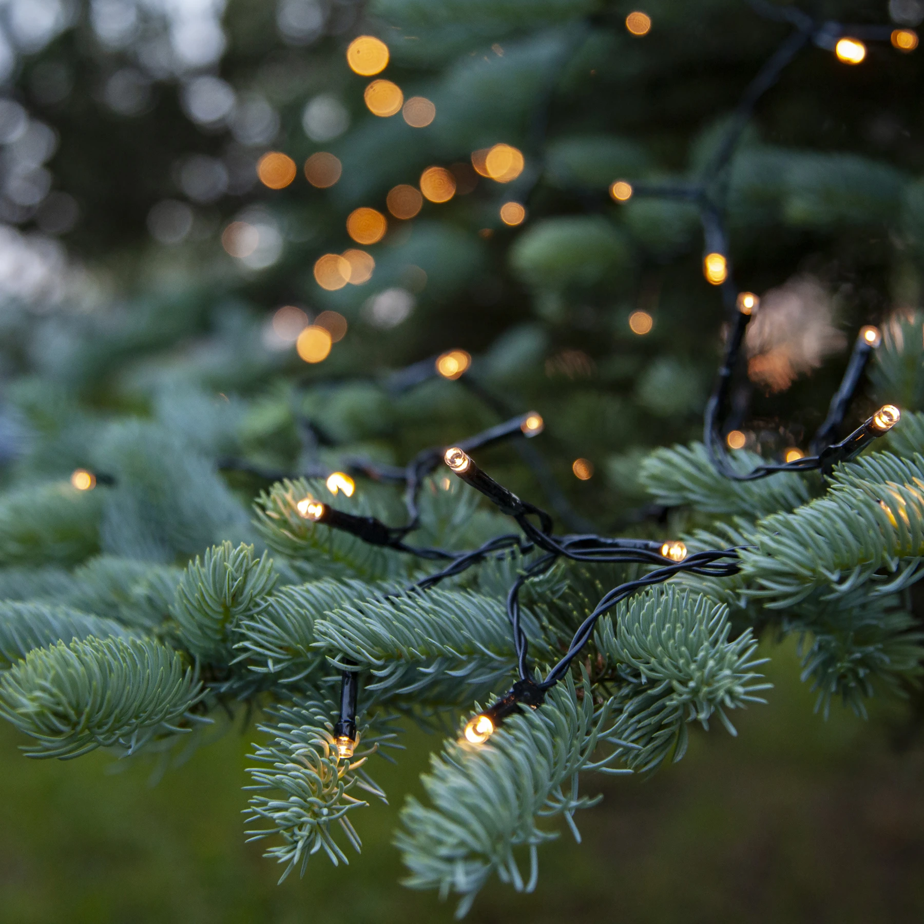 Battery - Lichterkette für außen - 11,2 m - 160 LEDs - Timer - Batteriebetrieb - Warmweiß