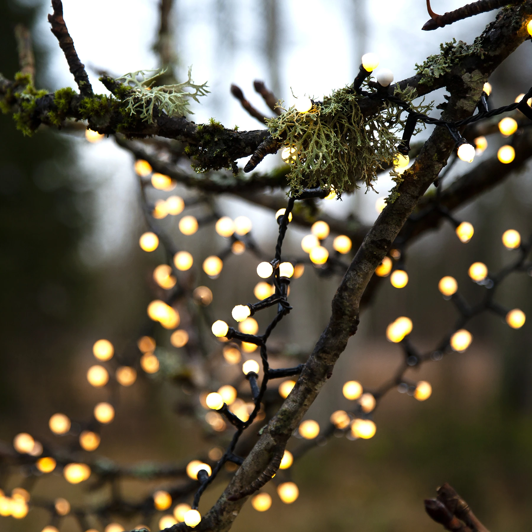 Berry Mini - Deko Lichterkette für außen - 14 m - 700 LEDs - Timer - Netzbetrieb - Warmweiß