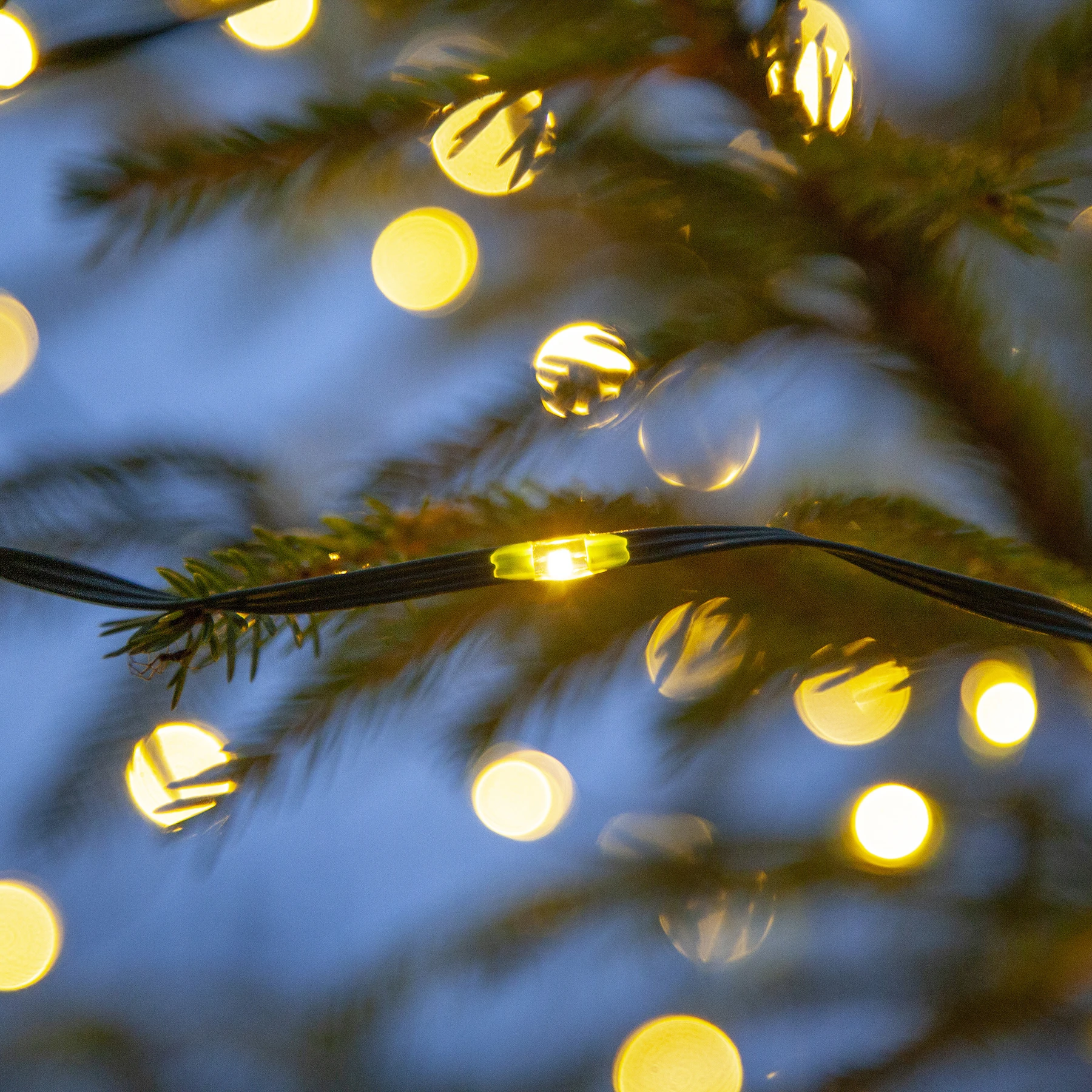 Dew Drop Micro - Lichterkette für außen - 15 m - 200 LEDs - Netzbetrieb - Warmweiß