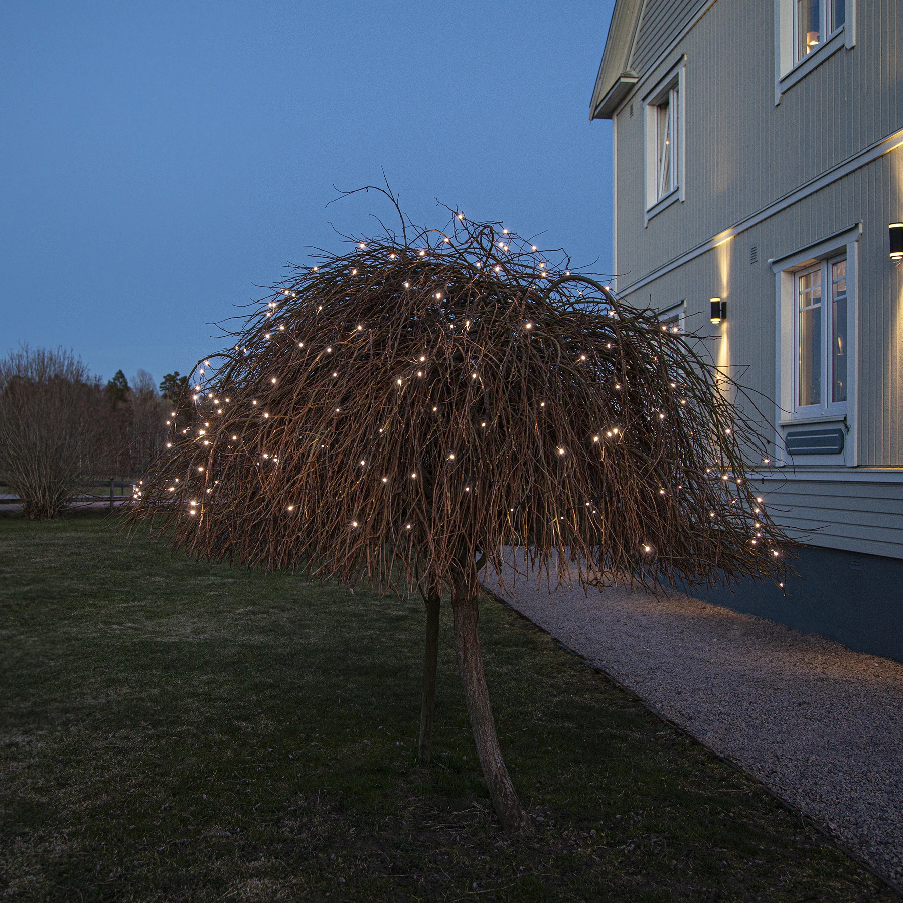 Crispy Ice White - Lichternetz für außen - 3 m - 200 LEDs - Netzbetrieb - Kaltweiß