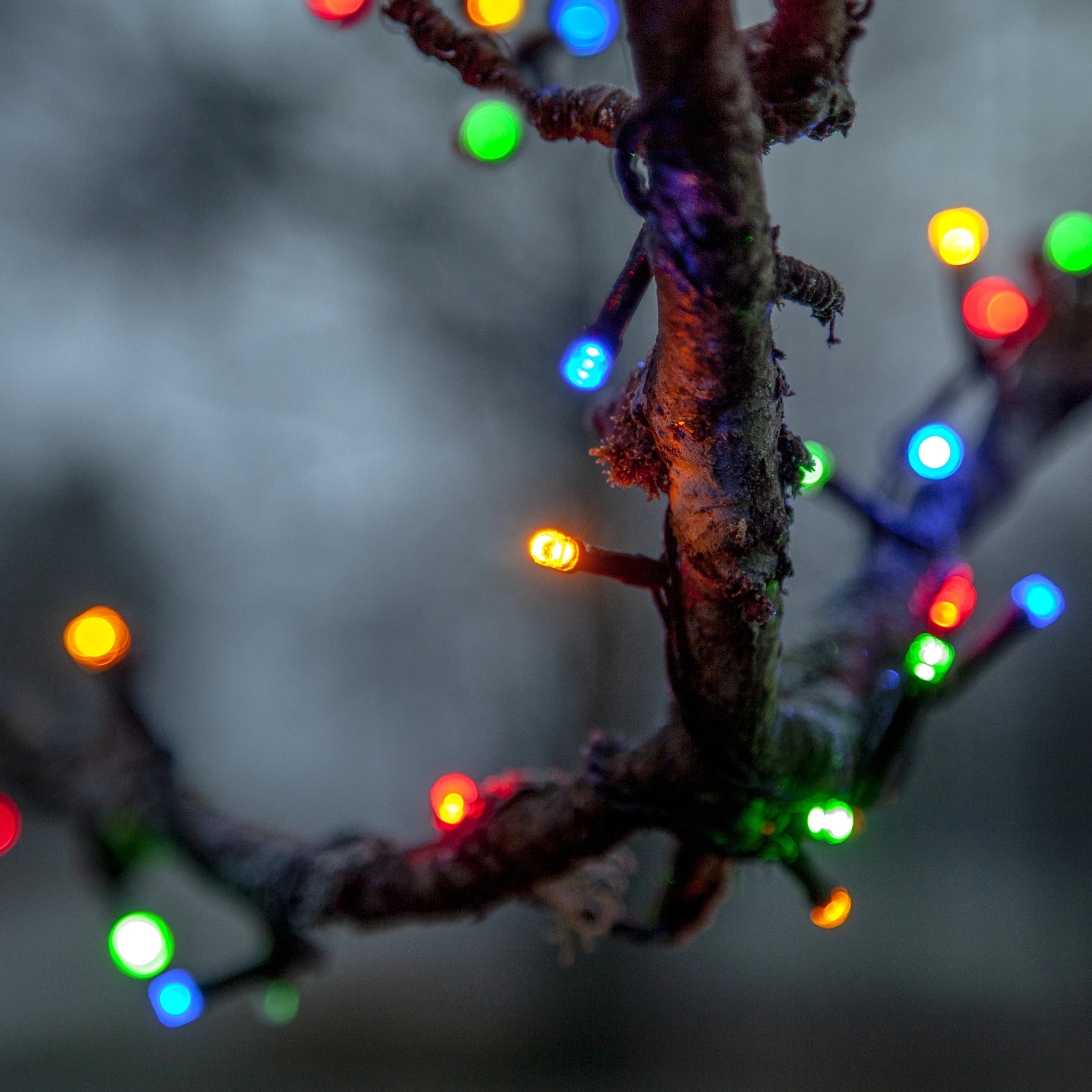 Flashy - Lichterkette für außen - 21 m - 300 LEDs - Timer - Netzbetrieb - 8 Funktionen - Mehrfarbig