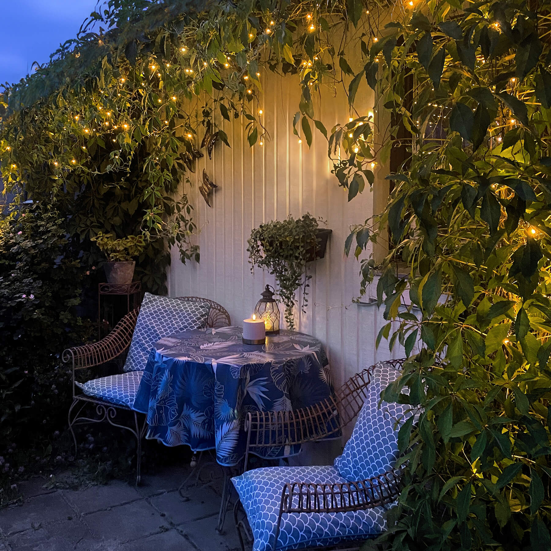 Golden Warm White - Lichtervorhang für außen - 5,9 m - 240 LEDs - Netzbetrieb - Warmweiß