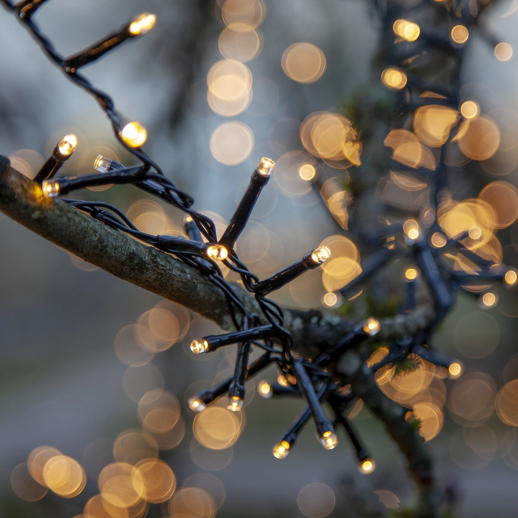 Flashy - Lichterkette für außen - 16 m - 800 LEDs - Timer - Netzbetrieb - 8 Funktionen - Warmweiß