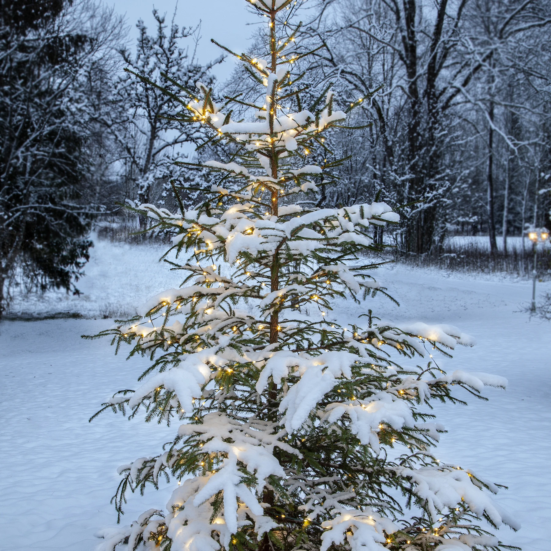 Dew Drop Micro - Lichterkette für außen - 15 m - 200 LEDs - Netzbetrieb - Warmweiß