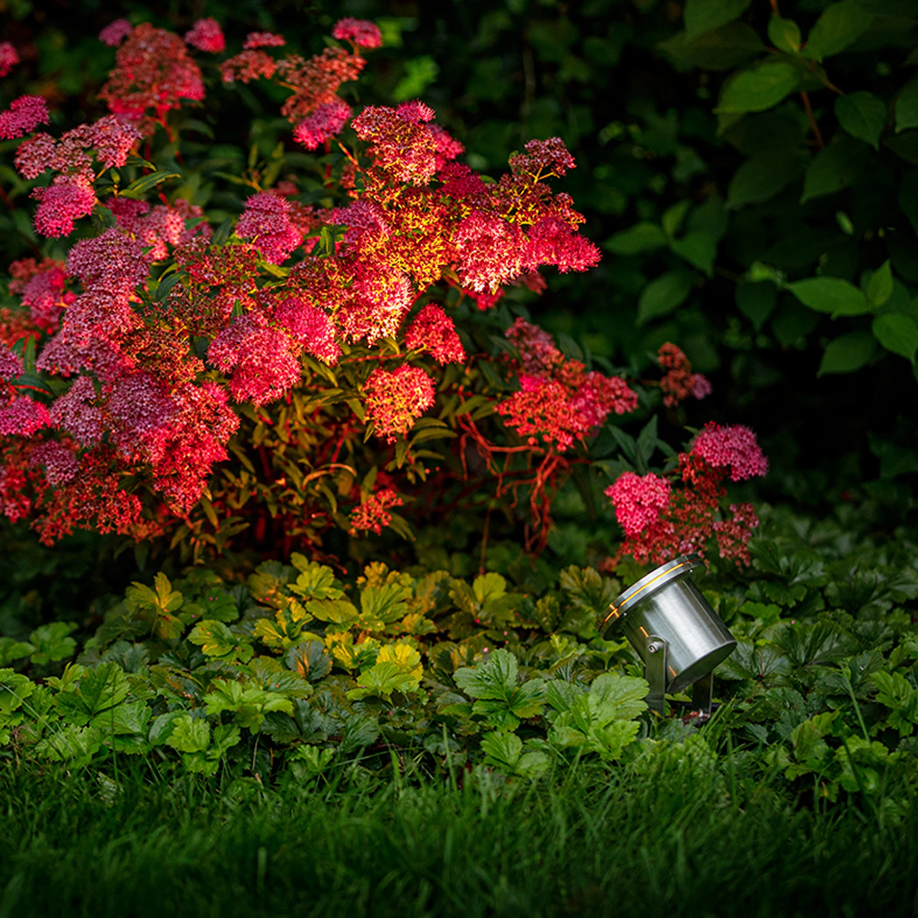 Garden Lights, 12V Wegeleuchte - Protego, 5W, warmweiß, IP68