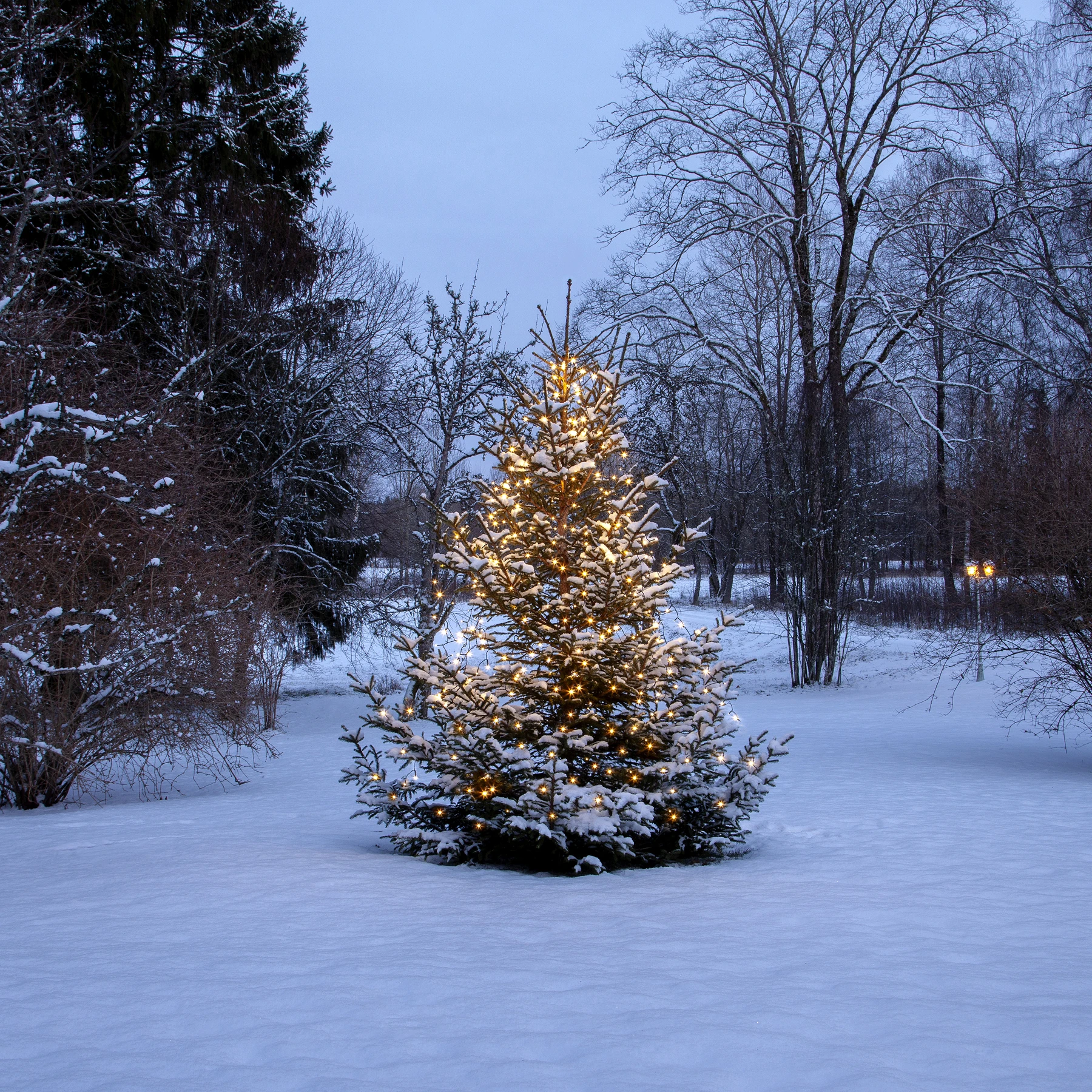 Shiny White - Baumlichterkette für außen - 0,07 m - 360 LEDs - Netzbetrieb - Warmweiß