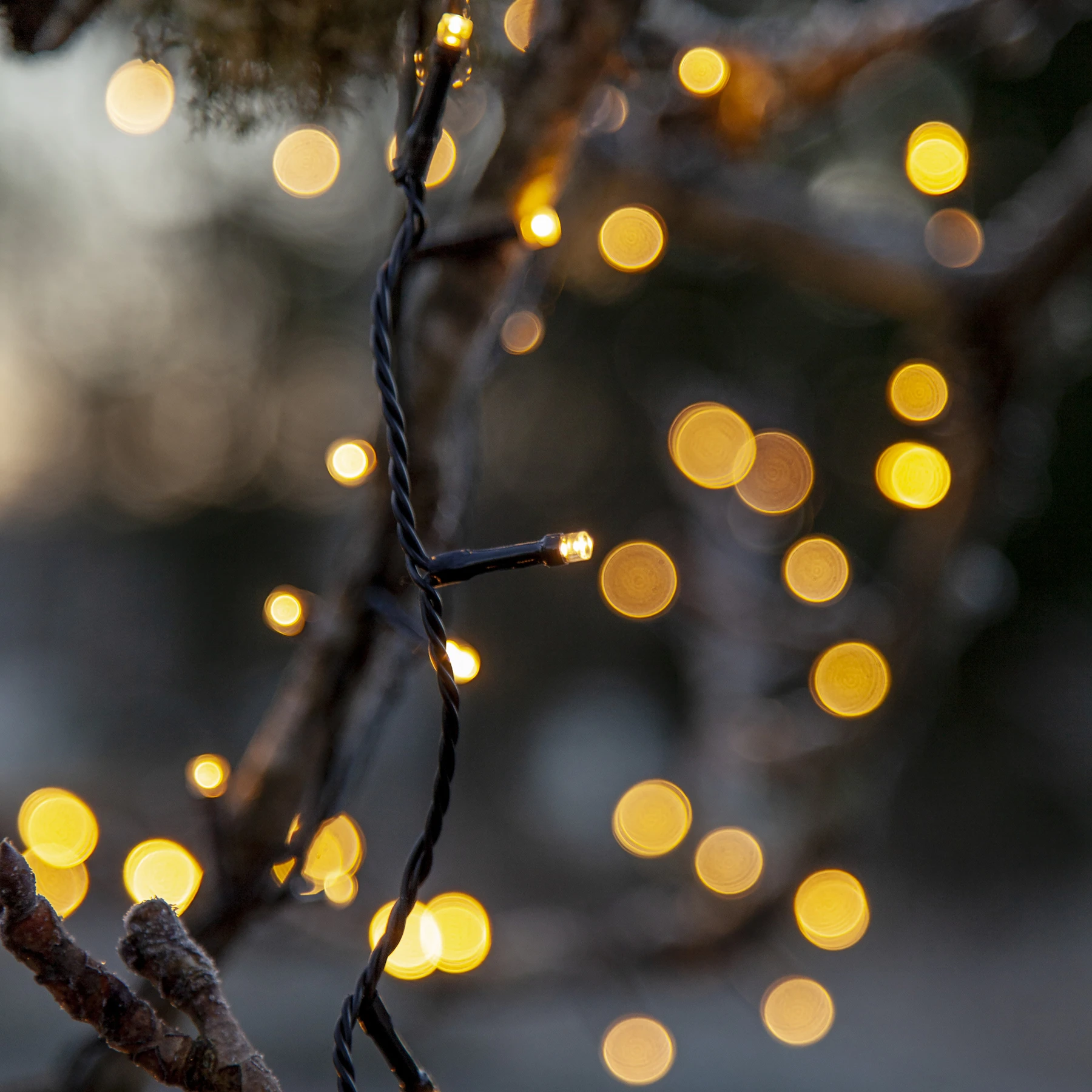 Flashy - Lichterkette für außen - 21 m - 300 LEDs - Timer - Netzbetrieb - 8 Funktionen - Warmweiß