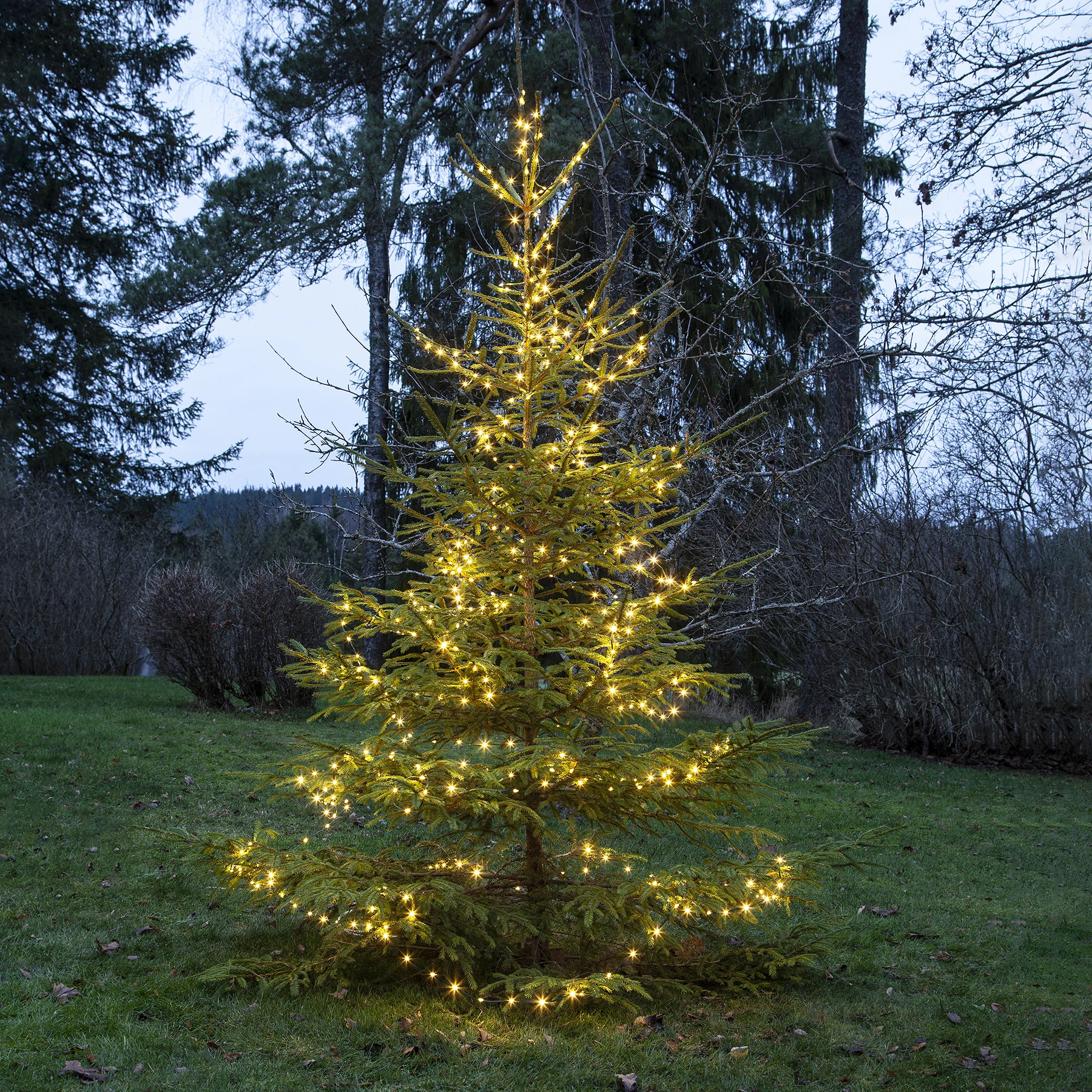 Dew Drop Micro - Lichterkette für außen - 36 m - 480 LEDs - Netzbetrieb - Warmweiß
