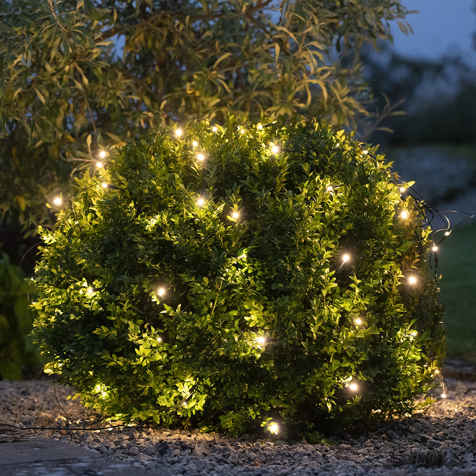 Crispy Ice White - Lichternetz für außen - 2 m - 160 LEDs - Netzbetrieb - Kaltweiß