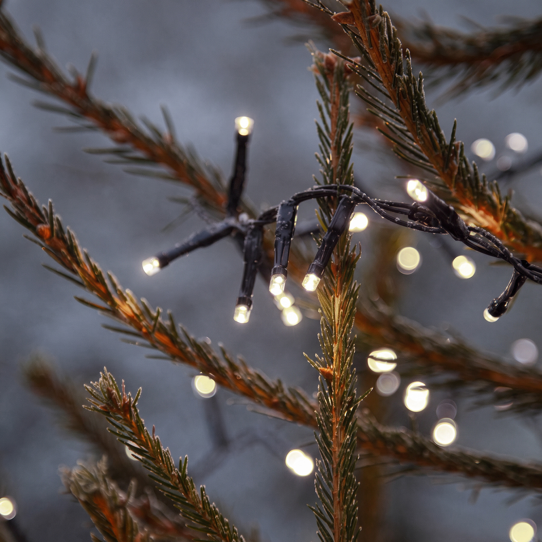 Lichterkette-Aussen-XMAS-CloseUp-Neutral