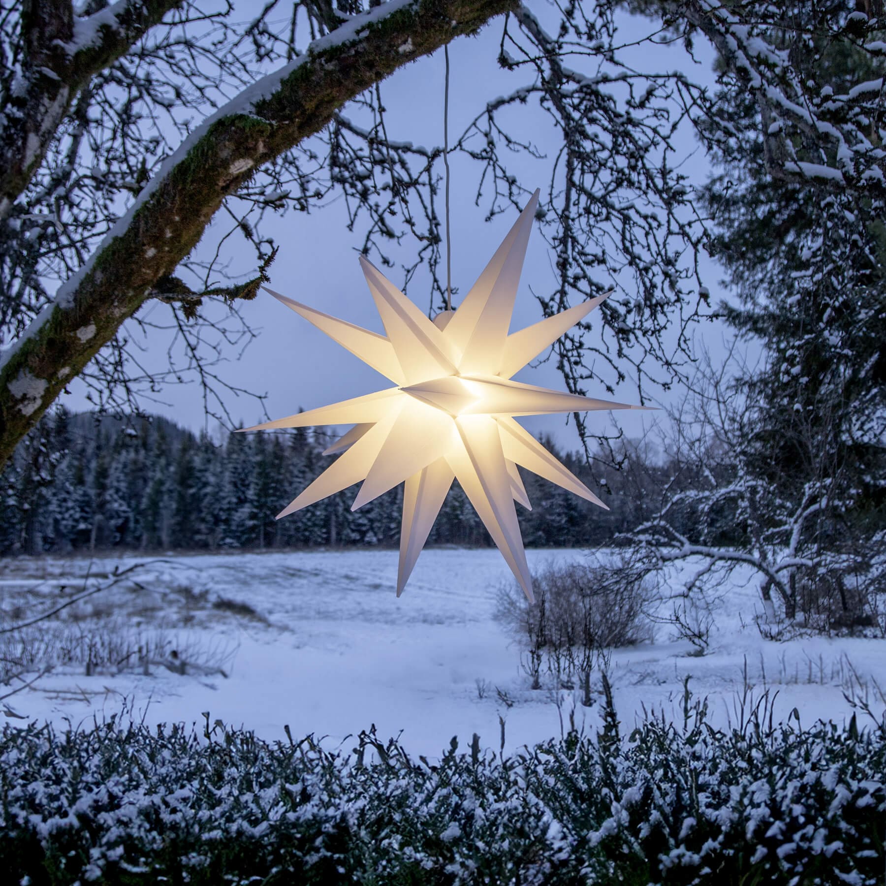 Alice 100 cm in Wei - Weihnachtsstern fr auen - Timer - Netzbetrieb -  Lichtfarbe: Warmwei