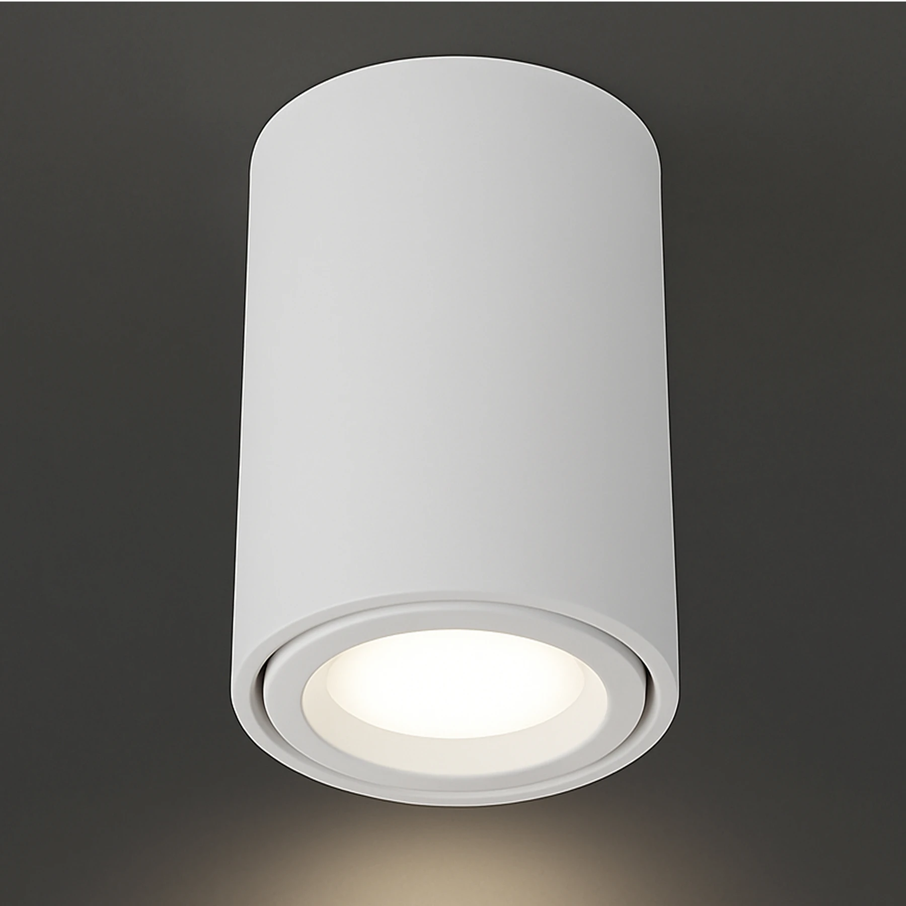 BEMOL DWL - Aufbau Deckenspot in weiß - Lichtfarbe: individuell wählbar