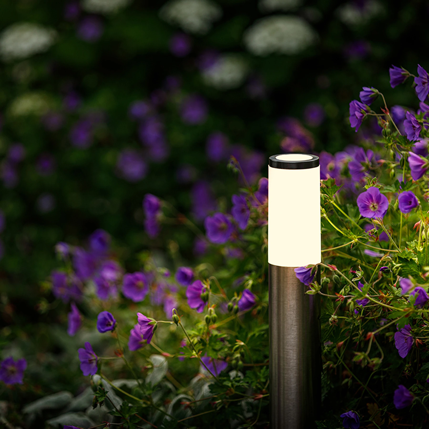 12V Wegeleuchte - 1W -  Lichtfarbe: warmweiß + weiß - IP44