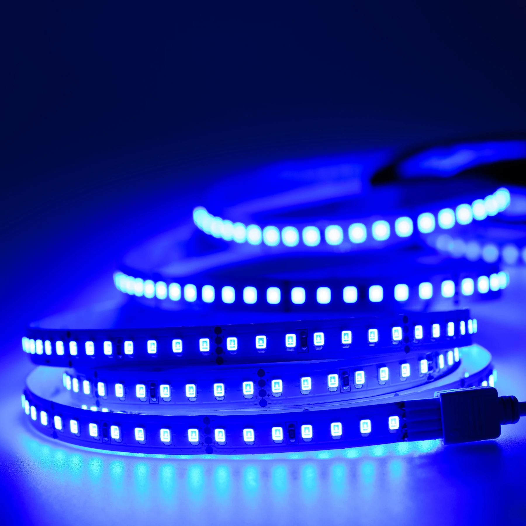 24V  LED Streifen – blau – 140 LEDs je Meter – alle 5cm teilbar 20cm - 28 LEDs - 4 Watt_Plug & Play schwarz | 20 cm_Offen schwarz | 100 cm