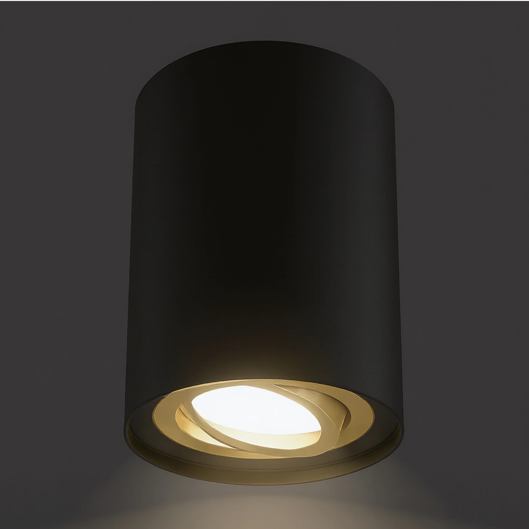 HARY C - Aufbau Deckenspot in schwarz/gold - Lichtfarbe: individuell wählbar