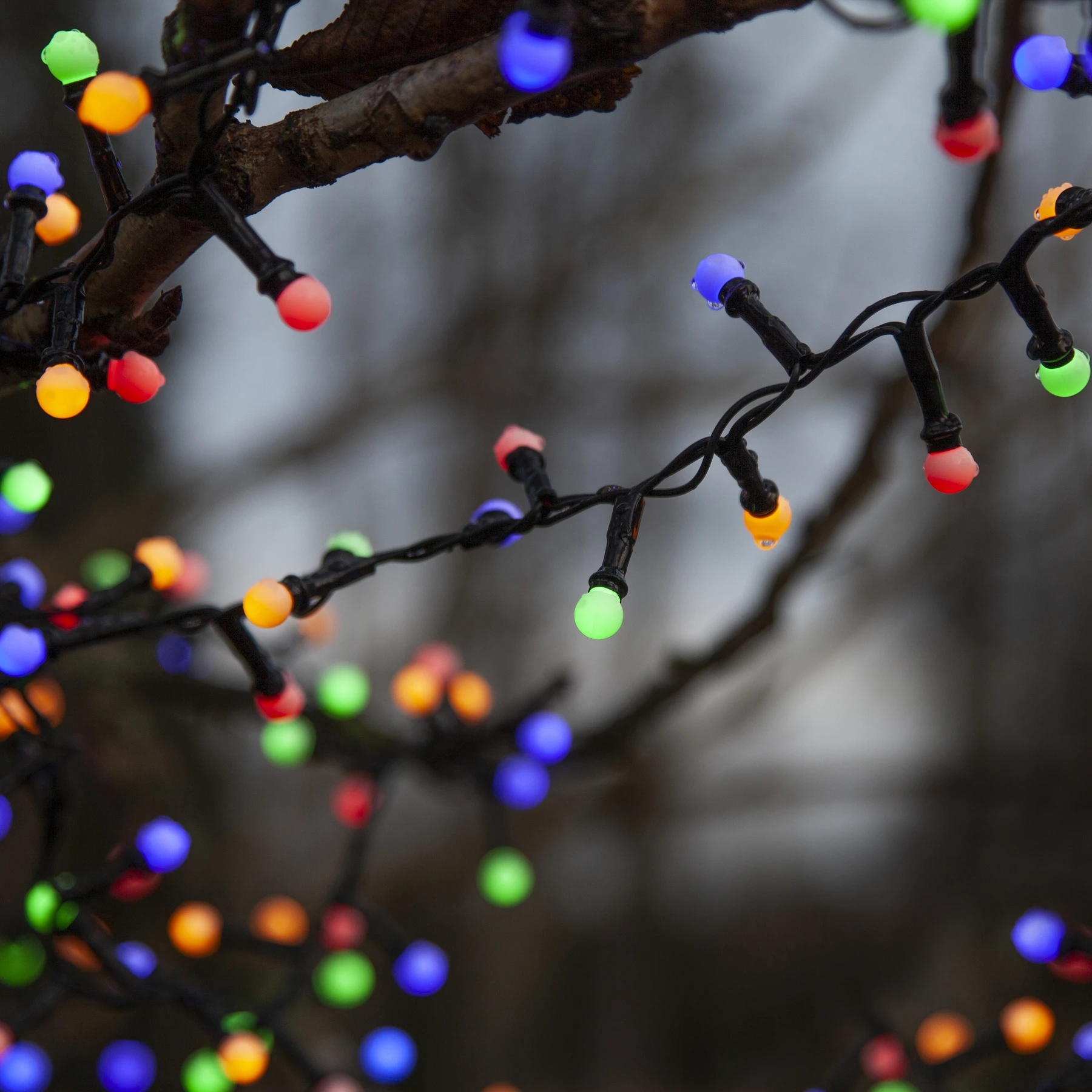 Berry Mini - Deko Lichterkette für außen - 6 m - 300 LEDs - Timer - Netzbetrieb - Mehrfarbig