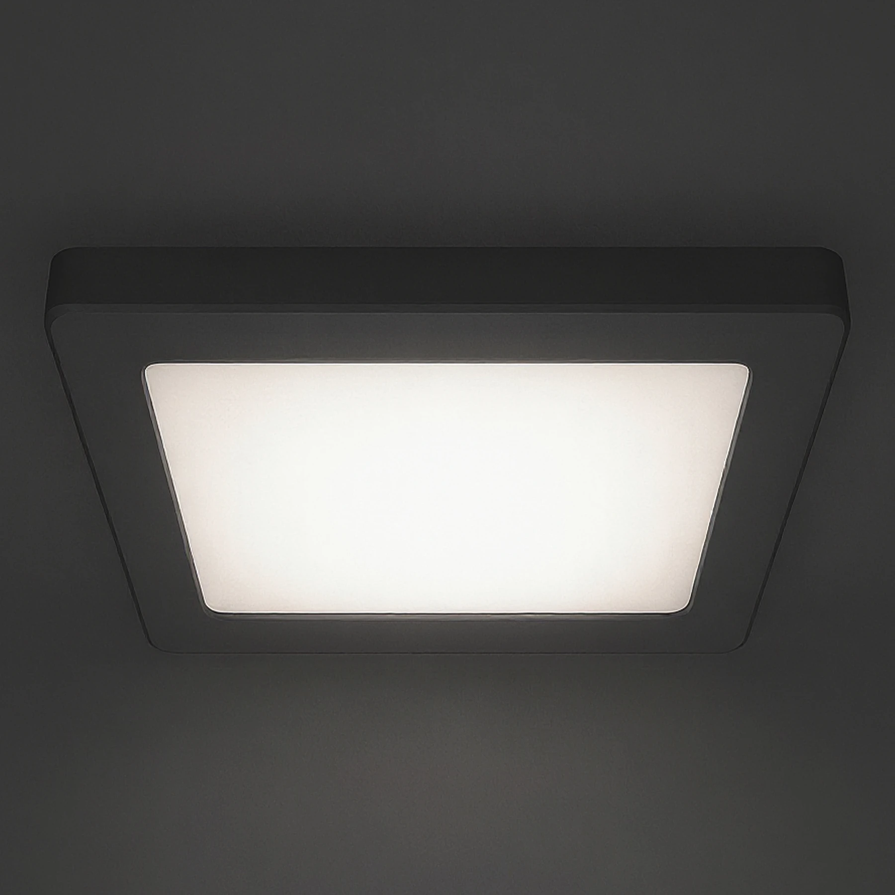 OLGA LED D - Decken Aufbauleuchte in schwarz - 29cm - 24W - Lichtfarbe: weiß einstellbar