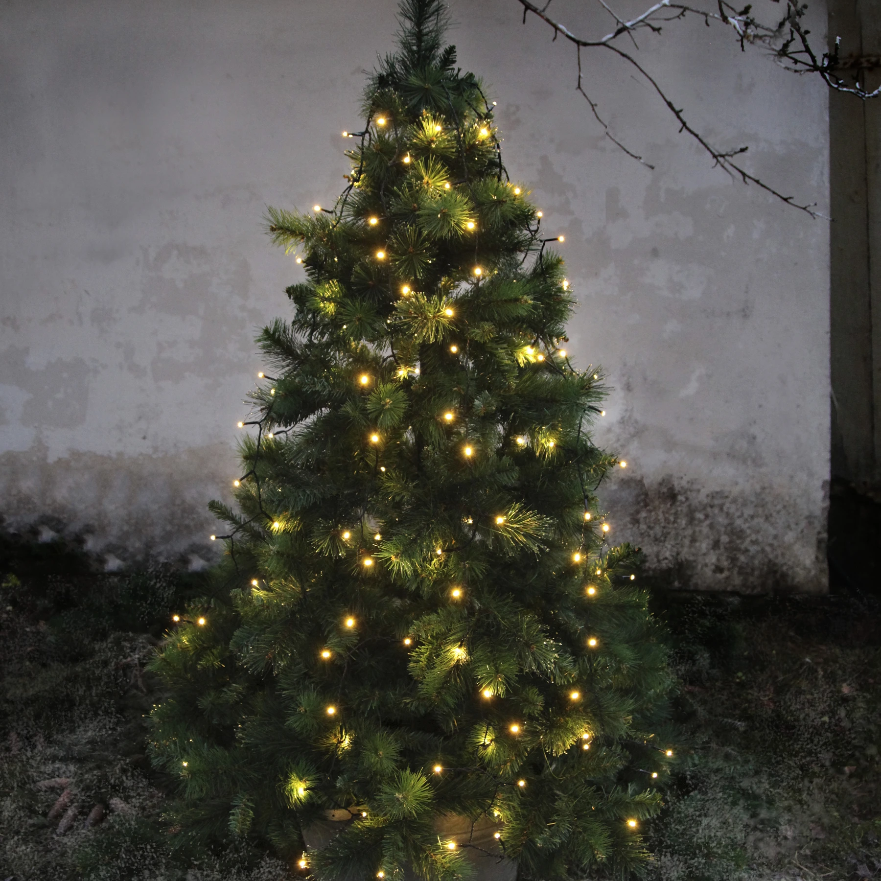 Serie LED - Baumlichterkette für außen - 0,1 m - 160 LEDs - Netzbetrieb - Warmweiß