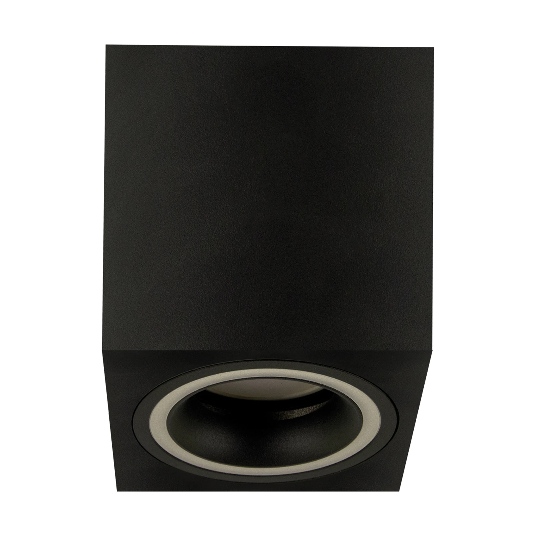 INDI D - Aufbau Deckenspot in schwarz - Lichtfarbe: individuell wählbar