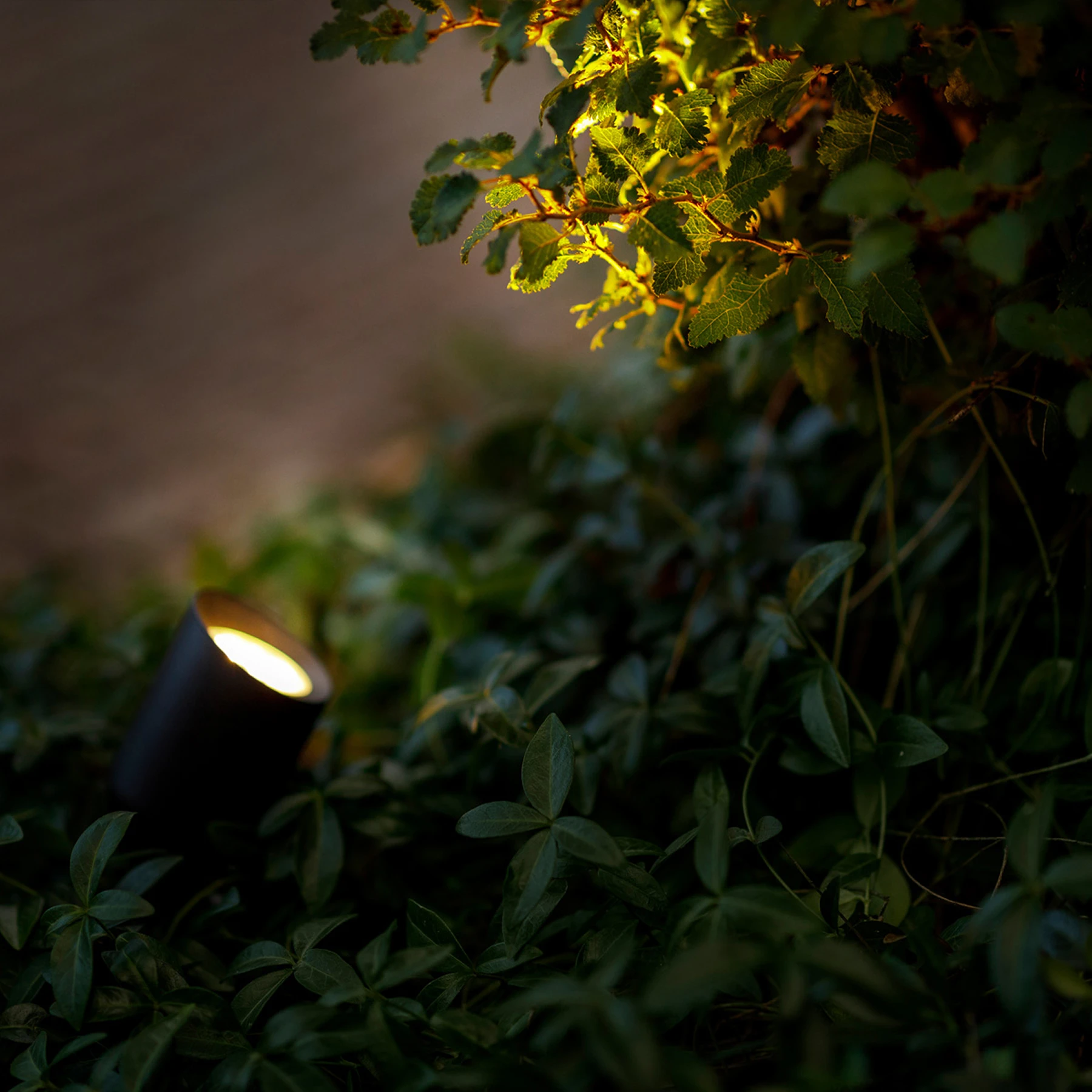 12V Wegeleuchte - 1,5W - Lichtfarbe: warmweiß - IP44