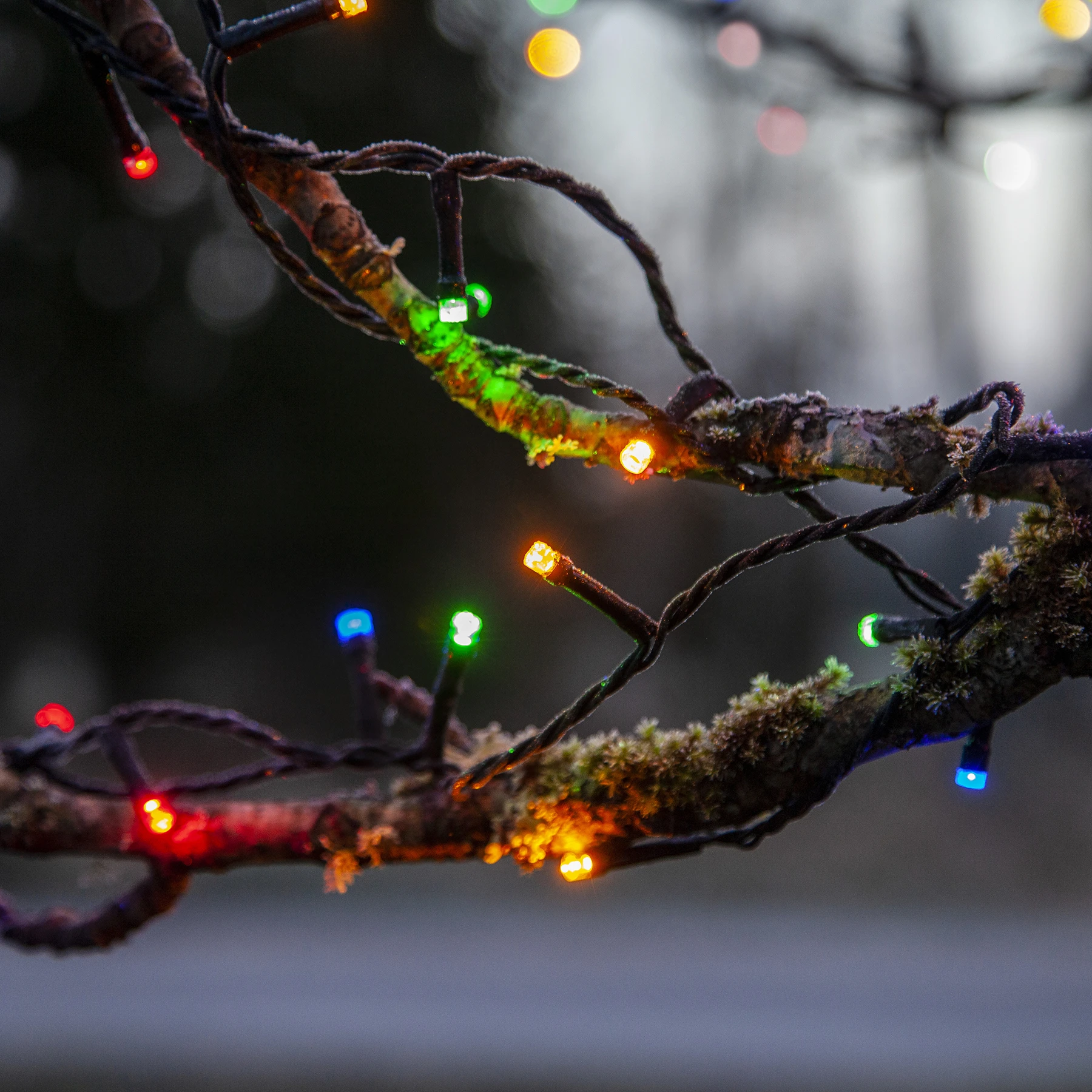 Flashy - Lichterkette für außen - 7 m - 100 LEDs - Timer - Netzbetrieb - 8 Funktionen - Mehrfarbig