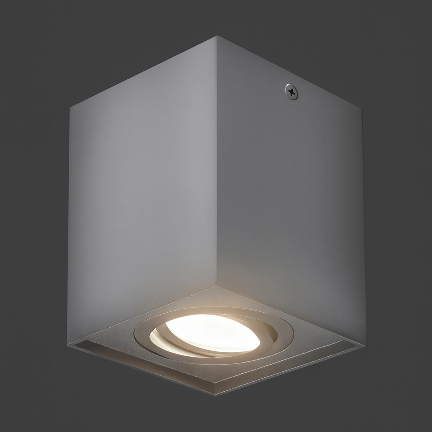 HARY D - Aufbau Deckenspot in silber - Lichtfarbe: individuell wählbar