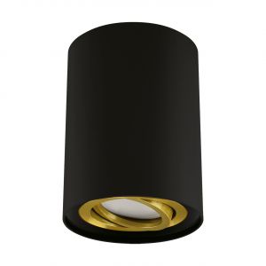 HARY C - Aufbau Deckenspot in schwarz/gold - Lichtfarbe: individuell wählbar HARY C - Aufbau Deckenspot in schwarz/gold - Lichtfarbe: individuell wählbar