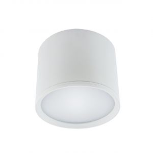 ROLEN LED - Aufbau Deckenspot in weiß - 10 W - Lichtfarbe: neutralweiß ROLEN LED - Aufbau Deckenspot in weiß - 10 W - Lichtfarbe: neutralweiß