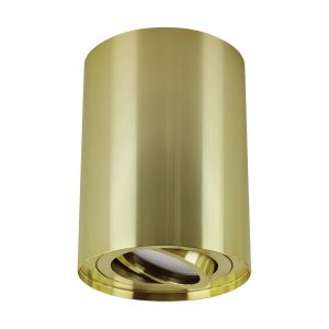 HARY C - Aufbau Deckenspot in gold - Lichtfarbe: individuell wählbar HARY C - Aufbau Deckenspot in gold - Lichtfarbe: individuell wählbar