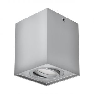 HARY D - Aufbau Deckenspot in silber - Lichtfarbe: individuell wählbar HARY D - Aufbau Deckenspot in silber - Lichtfarbe: individuell wählbar