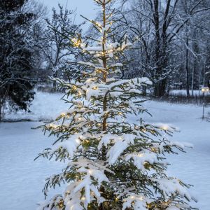 Dew Drop Micro - Lichterkette für außen - 15 m - 200 LEDs - Netzbetrieb - Warmweiß