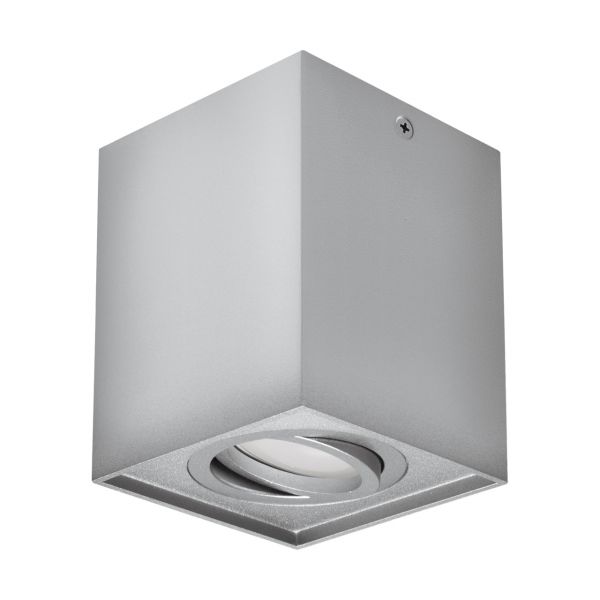HARY D - Aufbau Deckenspot in silber - Lichtfarbe: individuell wählbar