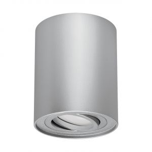 HARY C - Aufbau Deckenspot in silber - Lichtfarbe: individuell wählbar HARY C - Aufbau Deckenspot in silber - Lichtfarbe: individuell wählbar