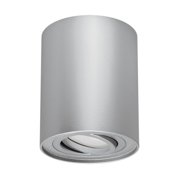 HARY C - Aufbau Deckenspot in silber - Lichtfarbe: individuell wählbar
